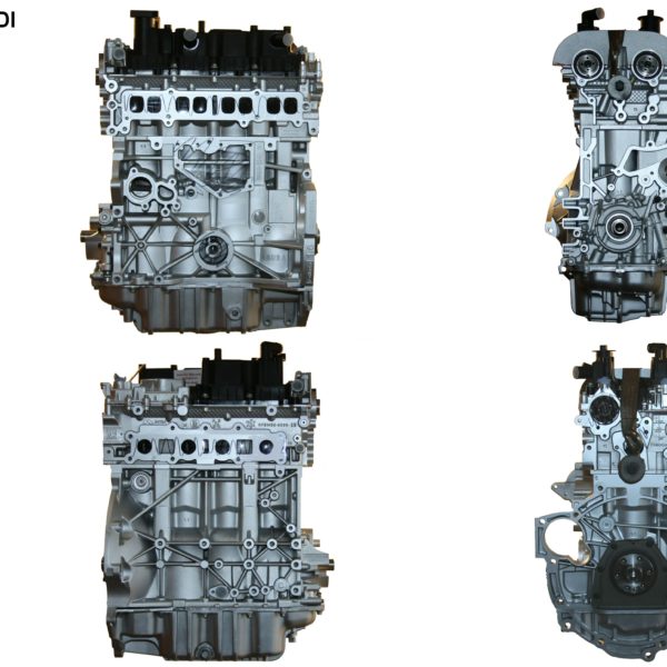 MOTORE Ford C-Max 1600 B MF-JQDA